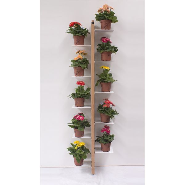 15 idee su Vasi X ingresso portone  piante da interno, piante da  appartamento, vasi da fiori