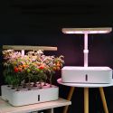 Serra idroponica con lampada a LED integrata Gardy
